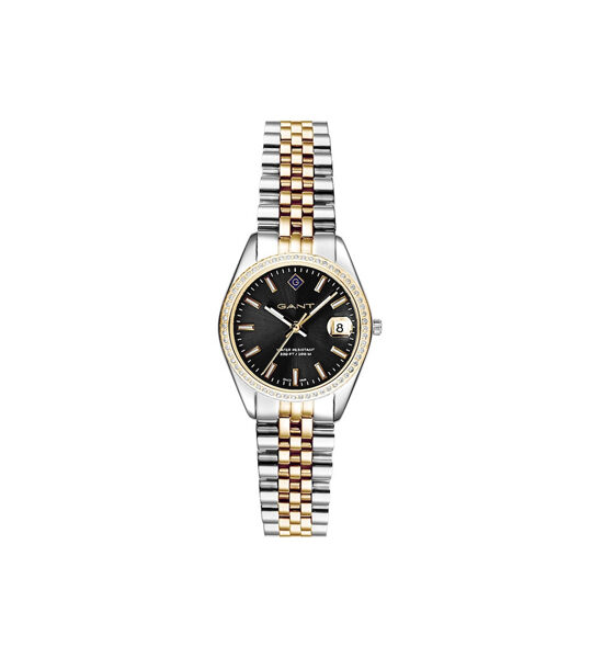 Gant Silver Gold Steel Watch G181106